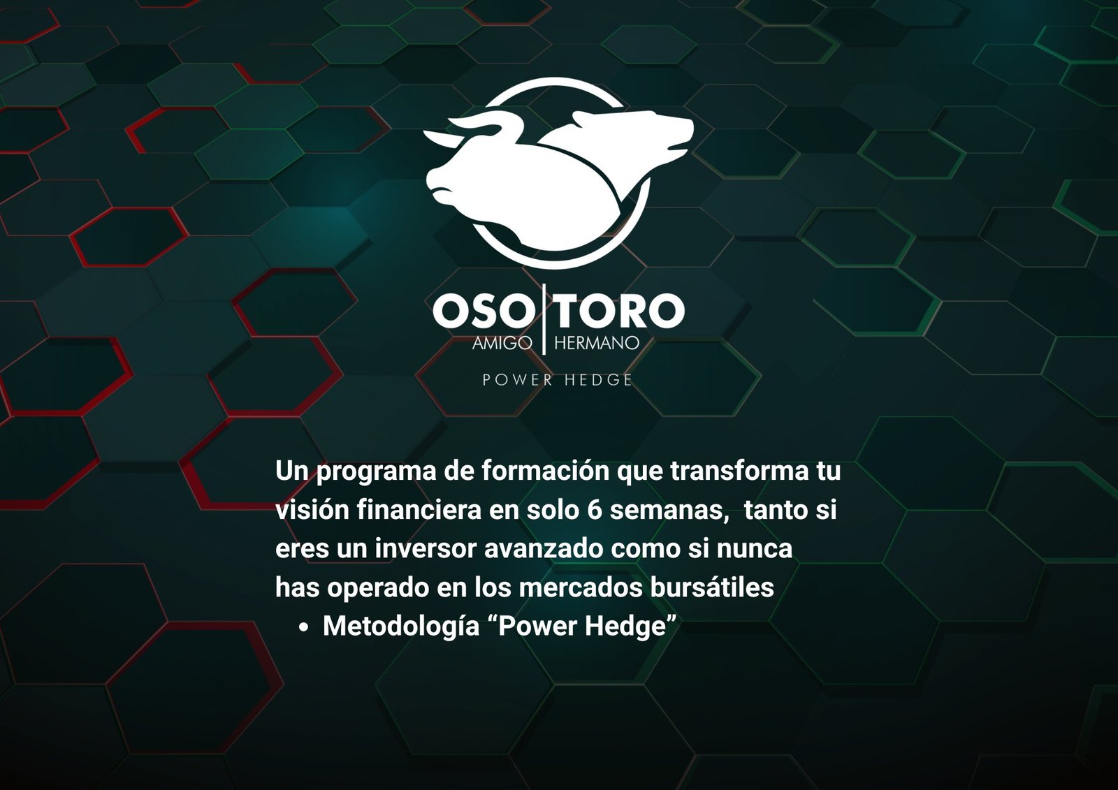 Oso Amigo Toro Hermano