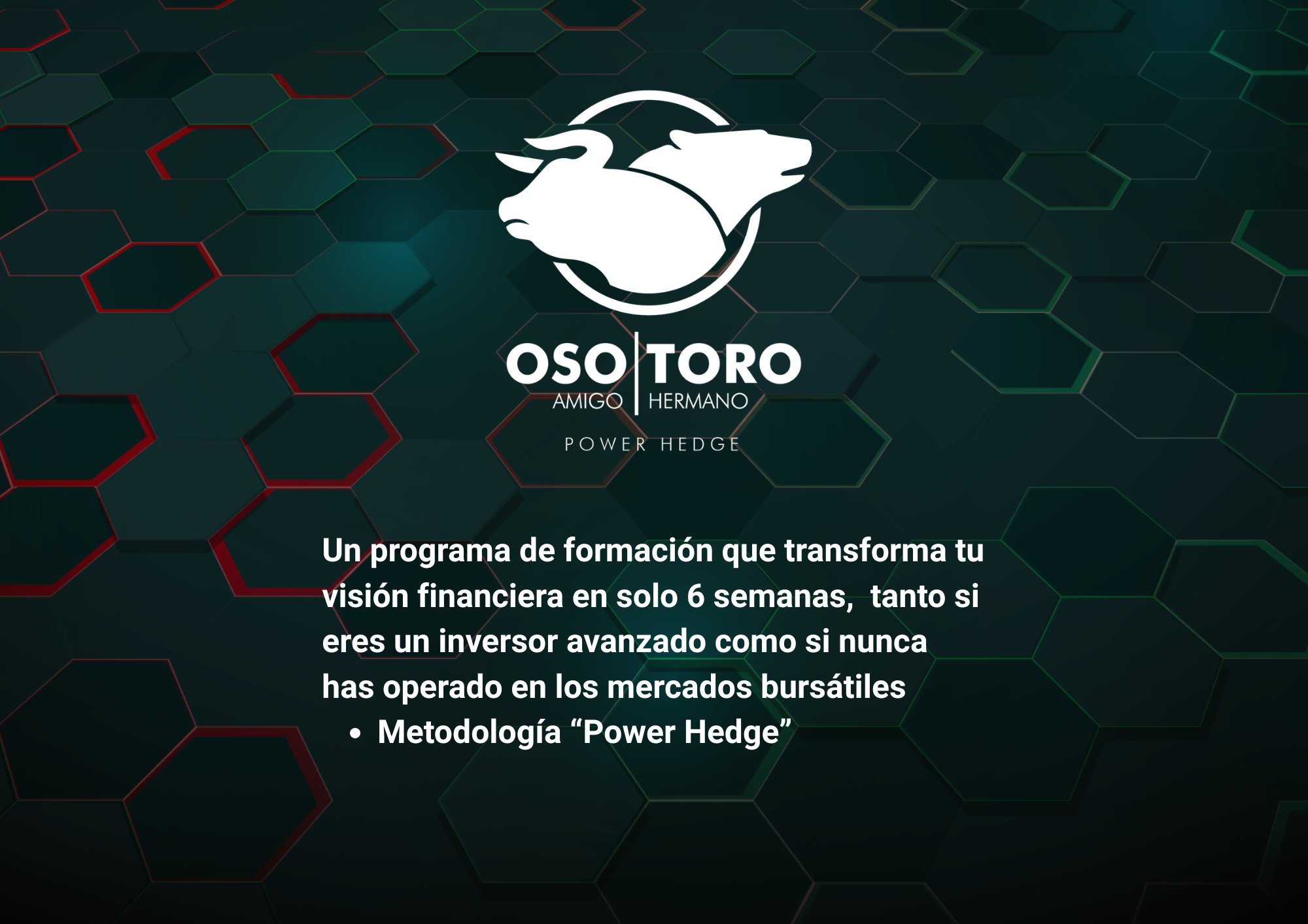 Oso Amigo, Toro Hermano